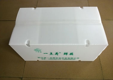 Πτυσσόμενα πλαστικά κιβώτια με τις κυκλοφορώντας τρύπες αέρα για τη μεταφορά των λαχανικών
